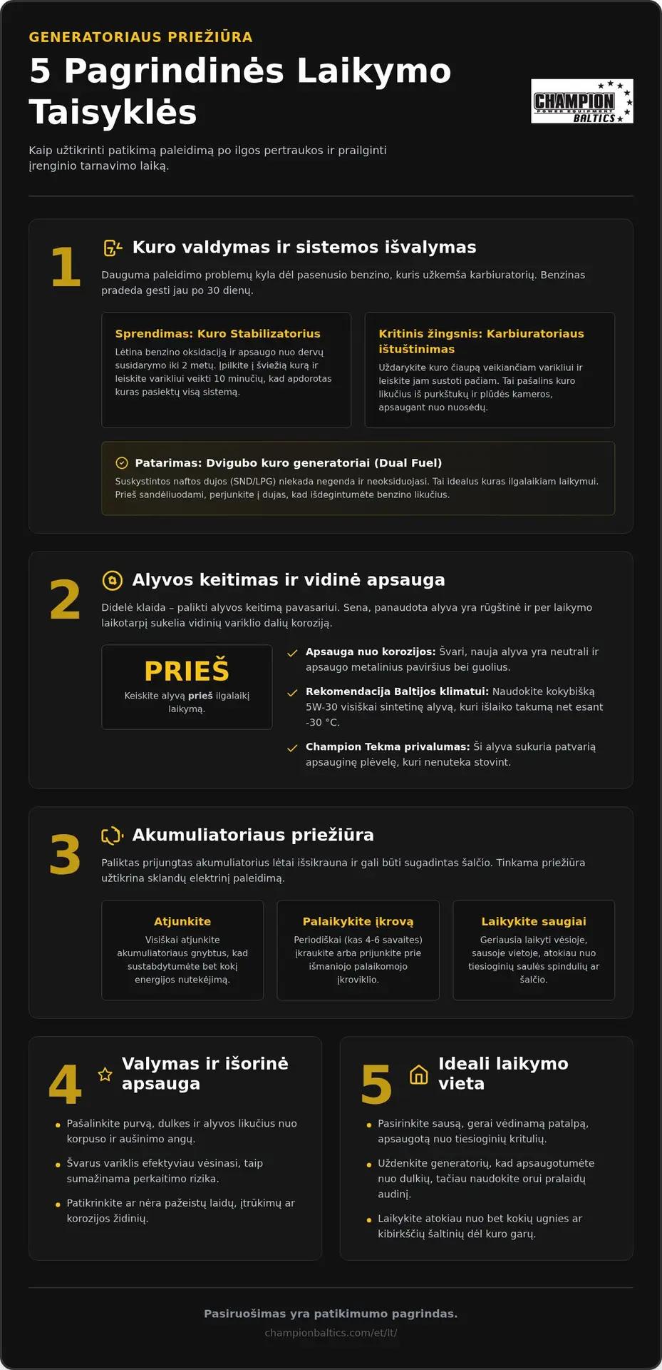Generatoriaus laikymas: 5 taisyklės ilgam tarnavimo laikui
