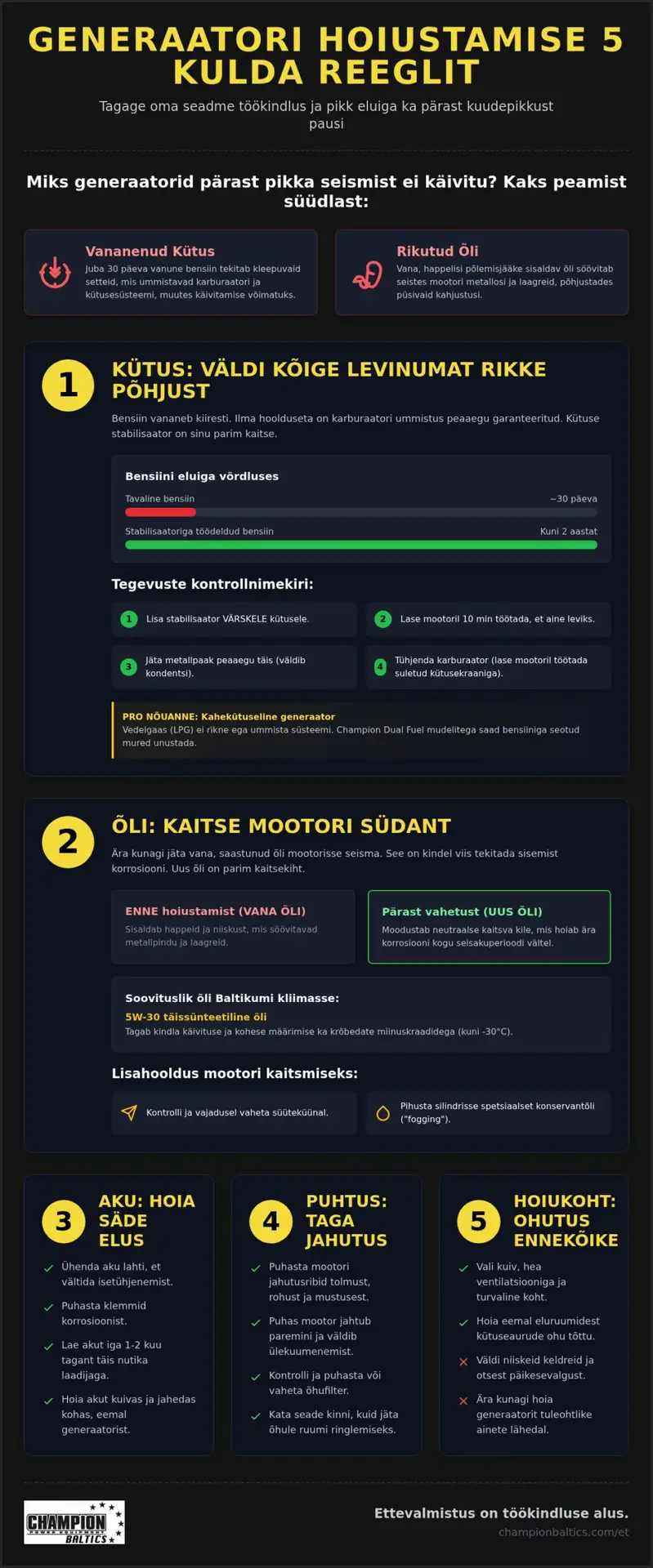 Generaatori hoiustamine: 5 reeglit pikaks tööeaks